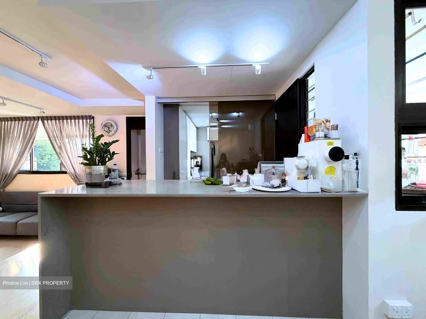 Villa Des Flores (D11), Condominium #542349221